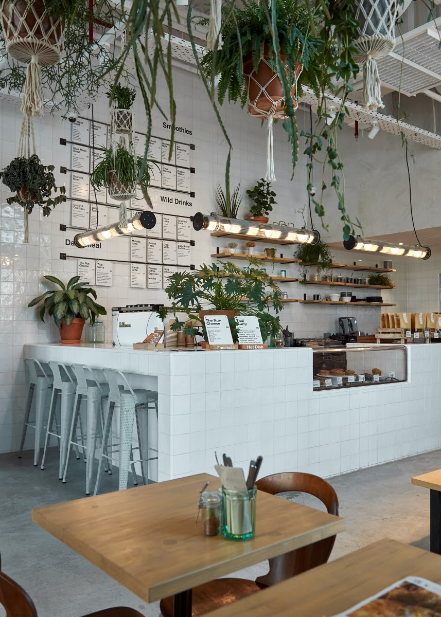 wild and the moon leading cafe